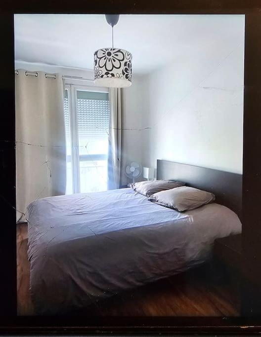 Chez Pascal Sissi -grand Appart,ile Nantes, Ccgres